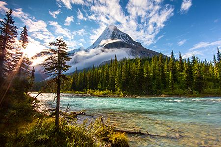 Cedar LNG provides project update