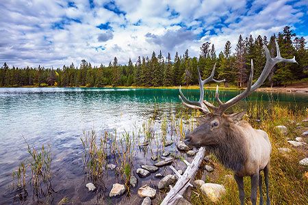 Environmental Assessment Certificate submitted for Cedar LNG project