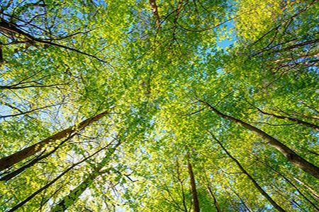 Study on net zero LNG construction completed for Shell