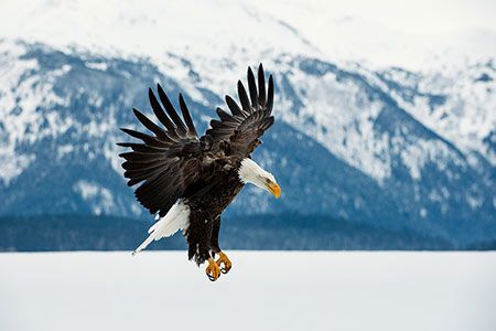 US on track to be world's number two