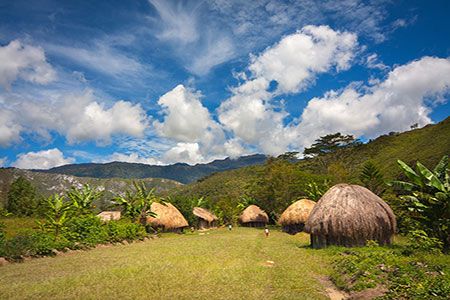 Papua New Guinea asks to keep gas